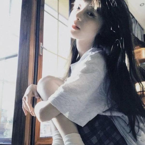 灰鸽子之歌